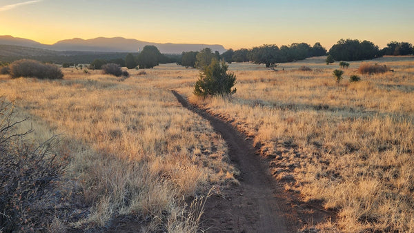Fort Bayard Trails