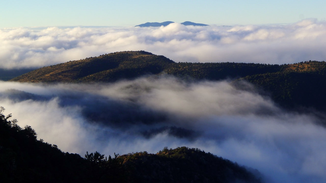 Pinos Altos Range High Country