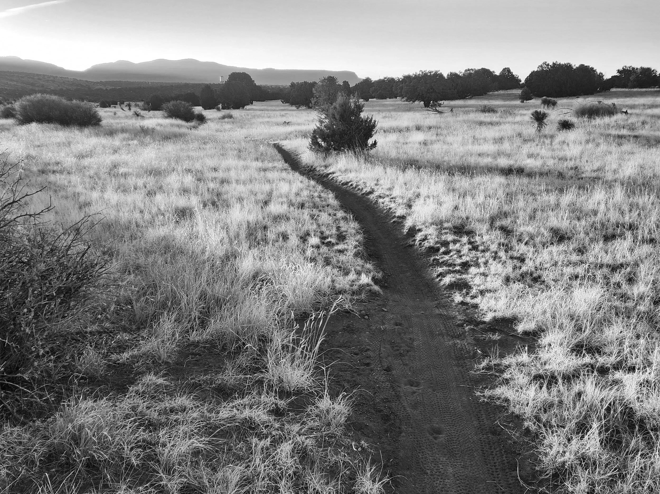 Fort Bayard Trails