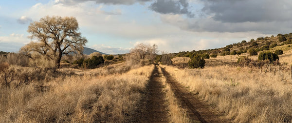 Downtown Trails